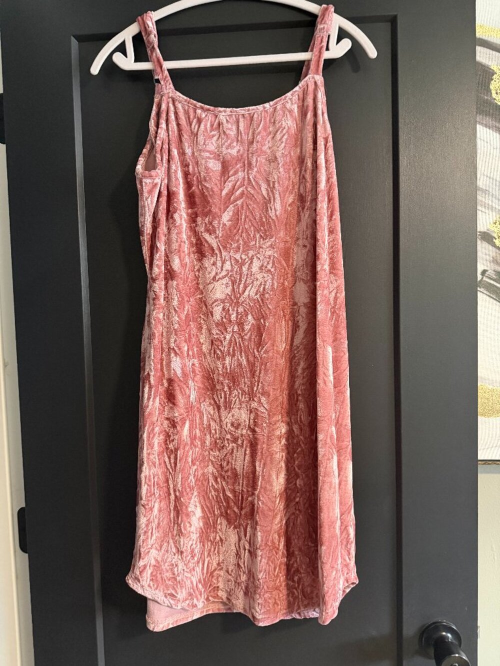 NWOT Velour Dress sz L